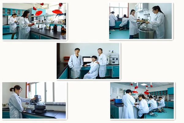 技術(shù)工程團(tuán)隊